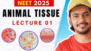 Structural Org in Animals 01  Epithelial Tissue  Class 11th Zoology NCERT2025 [upl. by Mllly782]