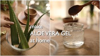 2 ways to make pure organic aloe vera gel at home and preserve for months [upl. by Irrak]