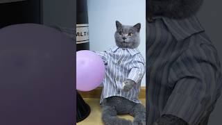 Hot Body Try This Amazing Weight Loss Hack🤪🏃‍♀️ funnycat lifehacks catmemes trending [upl. by Ardnatal]