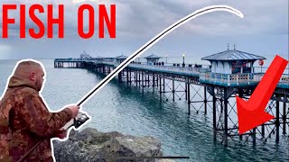 Sea Fishing at Llandudno Pier Wall North Wales UK 🦈🦈🦈 [upl. by Rothwell719]