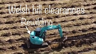 Rewilding and the new welsh hill clearances ⚠️ [upl. by Gerrilee722]