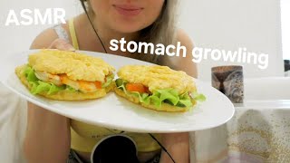 ASMR stomach sounds during meals [upl. by Hailat]