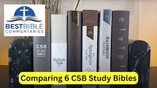 Comparing 6 CSB Study Bibles Rainbow Spurgeon She Reads Truth More [upl. by Odareg]