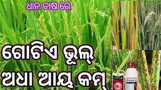 ଗୋଟିଏ ଭୂଲ୍ ଅଧା ଆୟ କମ୍ ୬୦୮୦ ଦିନ ଧାନ ରେ କଣ ଦେବେଧାନ ର ଵେଷ୍ଟ୍ ଫଙ୍ଗି ସାଇଟ୍ Amistar top [upl. by Kleeman387]