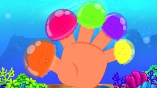 Jelly poisson Finger Famille  comptine  Nursery Rhymes For Kids  Jelly Fish Finger Family [upl. by Chas]