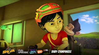 Shiva  शिवा  Baby Chimpanzee  Episode 26  Download Voot Kids App [upl. by Nodab]