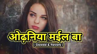 Vairal  ओढ़निया मईल बा  Odhaniya mail ba  Lofi song Neelkamal new Lofi song 2024 Trending song [upl. by Nortna300]