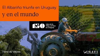 El Albariño triunfa en Uruguay y el mundo  INAVI [upl. by Lieno312]