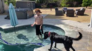 How I Get A Dog Over Their Fear Of Water In MINUTES [upl. by Fital]