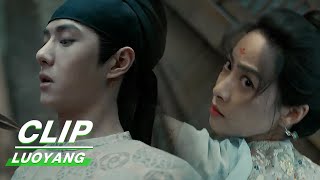 Clip Someone Wanna Kill Those Who Investigate Truth  LUOYANG EP19  风起洛阳  iQiyi [upl. by Kerwin]