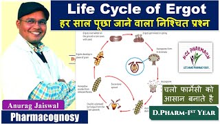 Life cycle of Ergot  Claviceps  In easy Way  Pharmacognosy [upl. by Hertzog]