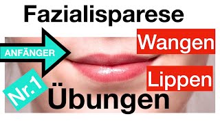 Nr1 Gesichtslähmung verbessern 4 Übungen für Lippen  Wangen Fazialisparese AnfängerDehnungen [upl. by Eilra]