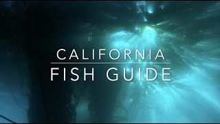 California Fish Guide [upl. by Yenttirb]