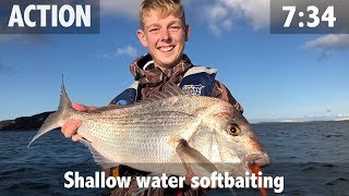 Shallow Water Softbaiting for Snapper [upl. by Earlie]