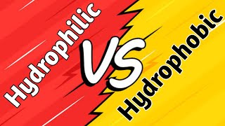 Hydrophilic vs Hydrophobic  Substances  Polar and Nonpolar molecules  Cell membrane [upl. by Eitsyrk215]