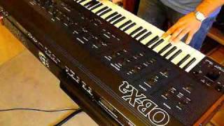 Oberheim OBXa Analog Synthesizer 1980 single sound demo [upl. by Pearce]