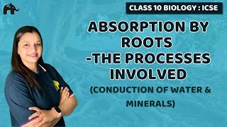 Absorption by Roots The Processes Involved  Chapter 4 Class 10 ICSE Biology Selina  Conduction [upl. by Kristine]