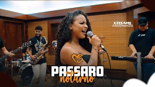 Banda Sentimentos  Pássaro noturno Ensaio Banda Sentimentos Cover [upl. by Llehsem435]