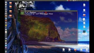 How To compress to targz in linux [upl. by Annayt]