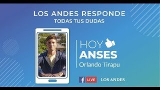 Cambios que se aplican en ANSES  Los Andes Responde [upl. by Acsicnarf8]