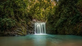 Conhecendo Cachoeira em GuabirubaSC [upl. by Kosiur561]