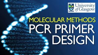 PCR Primer Design [upl. by Anhcar]