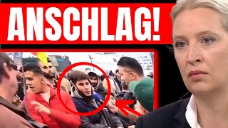 UNFASSBAR 💥 IHM RUTSCHT WAHRHEIT RAUS 💥 DIESES VIDEO ERREICHT GERADE 2 MILLIONEN KLICKS 💥 [upl. by Elish178]