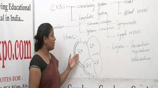 Cardio Vascular System Lecture Bsc Nursingby MsJishu Baiju [upl. by Asir]