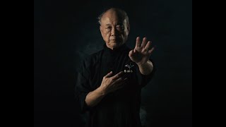 Master Lee Kong  White Crane Kung Fu Documentary [upl. by Eyahsal]