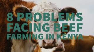 8 PROBLEMS FACING BEEF FARMING IN KENYA [upl. by Rhoads]