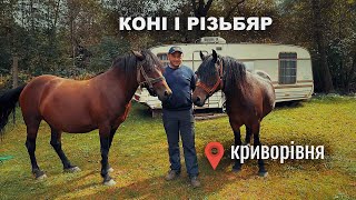 РІЗЬБЯР У МУЗИКАНТА В КРИВОРІВНІ horse коні гуцули [upl. by Drusilla]