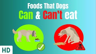 Foods That Dogs Can And Cant Eat [upl. by Ixela]