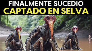 Lo Grabaron En La Selva Amazónica Y NADIE Lo Puede Creer [upl. by Honora]