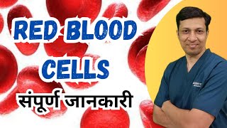 Lecture on RBC in hindiRed blood cell physiology in hindi [upl. by Aurea]