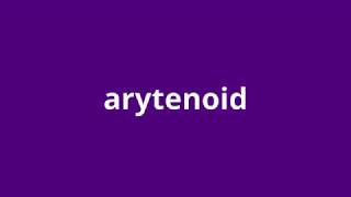 what is the meaning of arytenoid [upl. by Eseila]