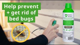 How to Prevent and Treat Bed Bugs with Permethrin Spray [upl. by Nehepts]