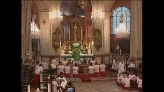 Parisians Enjoy Simple Majesty of Tridentine Latin Mass [upl. by Erminna848]