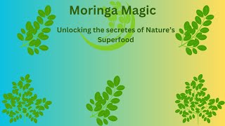 Moringa Magic The Miracle tree of Healing [upl. by Cirdla]