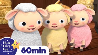 Hickory Dickory Dock  More  1 Hour of Best Baby Songs amp Nursery Rhymes  Little Baby Bum [upl. by Redna903]