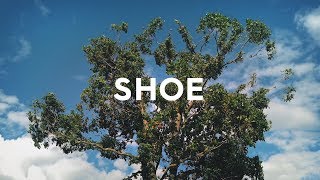 Allbirds Tree Runners Comfy Shoes Made From Trees [upl. by Merth]