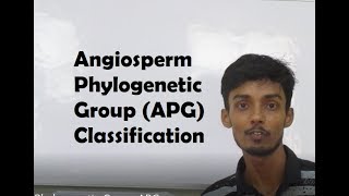 Angiosperm Phylogenetic Group APG Explained Part I [upl. by Eva917]