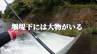 【渓流釣り】【餌釣り】大物が掛かる渓流釣り。 [upl. by Landau]