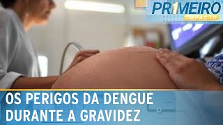 Dengue na gravidez pode ser até 4x mais letal alertam especialistas  Primeiro Impacto 220224 [upl. by Meibers]