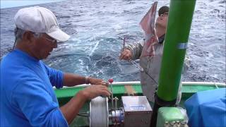 GREENSTICK FISHING IN JAPAN 2014 part16 [upl. by Coridon]