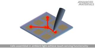 Photosynthetic Bioelectronic Sensors [upl. by Herrle]