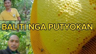 PAGPUHAG SA ANOLING AGUSAN DEL SUR viralvideo adventure entertainment everyone explore honey [upl. by Iroak]