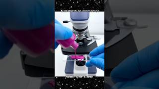 Nail Polish Microscopeൽ വെച്ചപ്പോൾ🤮😱💅 shortsvideo m4tech mrzthoppi [upl. by Isia]