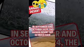 😲🐫SAHARA DESERT is now LAKE SAHARA 💦 shorts [upl. by Notkcorb]