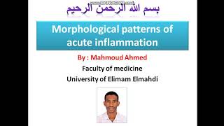 شرح ال Morphological patterns of acute inflammation طبيبسودانيTSD [upl. by Yorick]