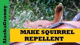 Make Squirrel Repellent For Gardens [upl. by Aihsa946]